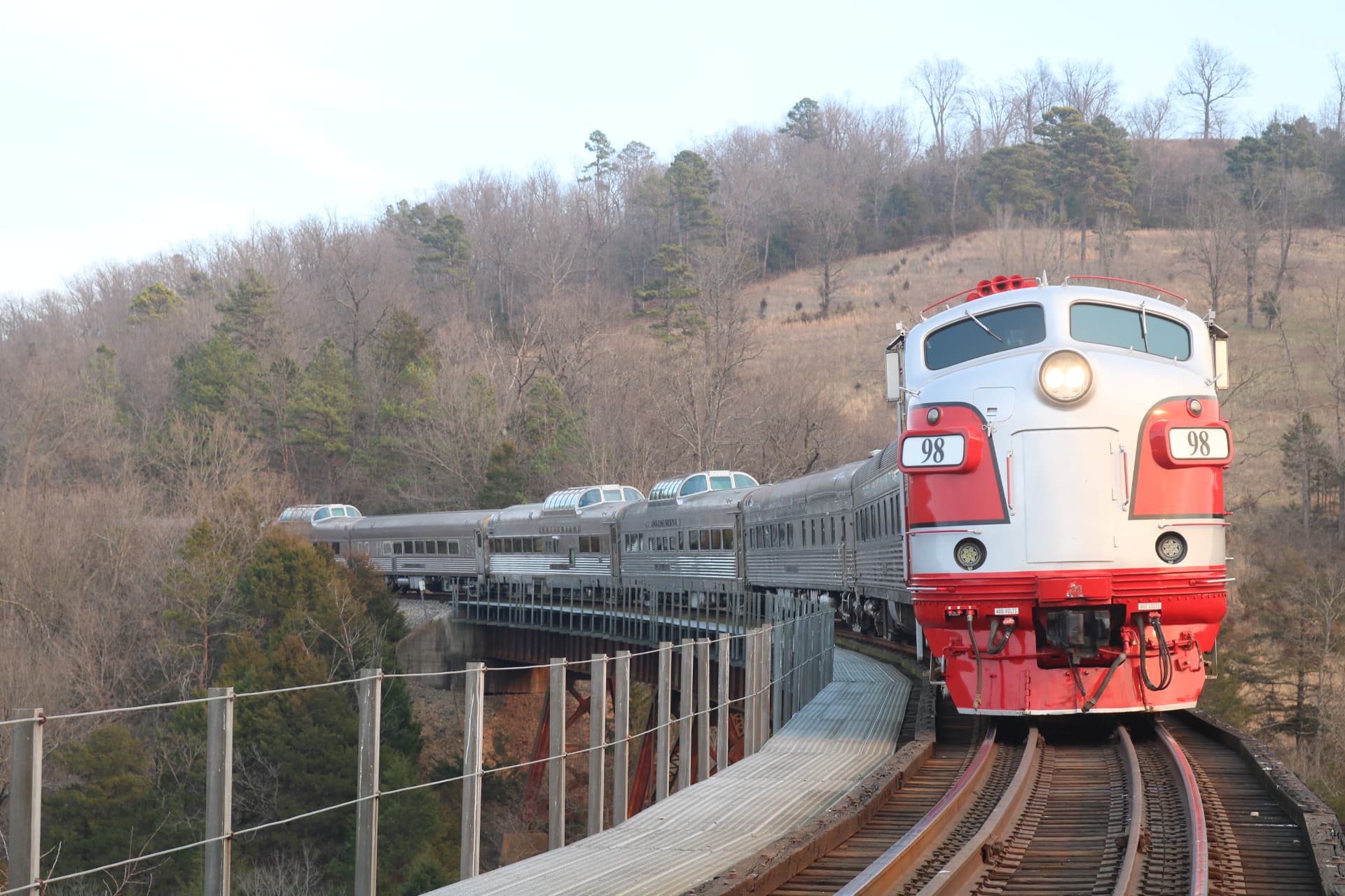 Excursion Trains